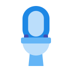 Toilet Repair